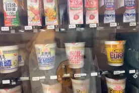 帝师:这就是日本酒店里的自动贩卖机，泡面居然不配叉子视频封面