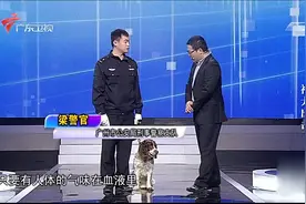 社会纵横：公安部一级功勋犬！警犬的最高荣誉，侦破案件120多宗视频封面