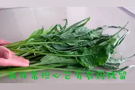 从菜市场买的新鲜青菜，就怕有农药残留，教你一招，再也不用担心视频封面