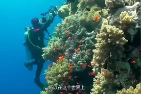 海底发现神秘“人脸”，潜水员凑近一瞧，立马请求打捞！视频封面