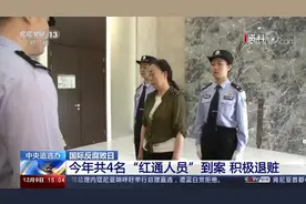 85%逃到这四国？中央追逃办：今年共4名“红通人员”到案退赃