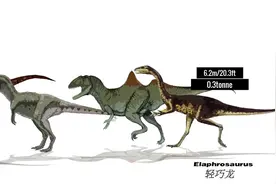 最全的食肉恐龙种类体型大小对比在这里