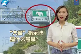小姜说：河南高速上的“大象”指示牌图片