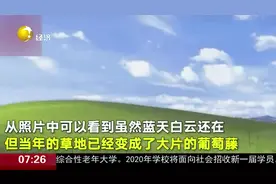 Windows经典壁纸拍摄地24年后变样了：蓝天白云依旧，绿草却没了视频封面
