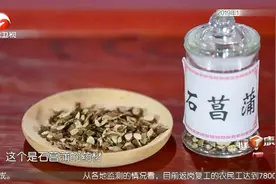 中医专家为您介绍神奇的中药材菖蒲 这一部位化痰开窍 益智醒脑！视频封面