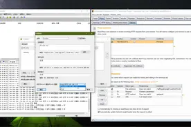 Proxifier+burpsuite代理https协议数据包
