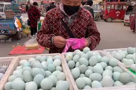 摆摊老板卖咸鸭蛋有套路，小伙现场取证，看看老板会认账吗？视频封面