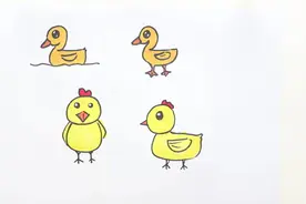 简笔画小鸡和小鸭的画法视频封面