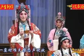 京剧《杨门女将》全本戏-高清版视频封面