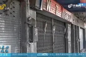 实惨！泰国旅游景点游客暴跌，几百只“猴哥”竟为一根香蕉打群架