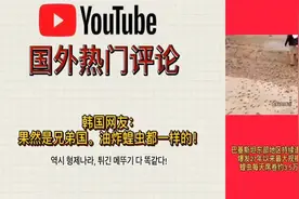 中国专家帮巴基斯坦消灭蝗虫，最后还吃上了老外：看的我都流口水视频封面