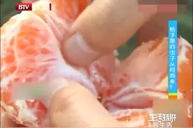 橘子里藏着“不速之客”，橘子里的虫子从何而来？|生活特供 0220视频封面