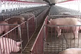 广西农垦生产管理