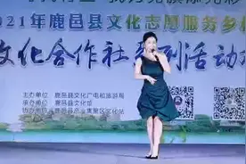寻找村宝•我为党旗添光彩，鹿邑县文化合作社系列文化活动戏曲专场图片