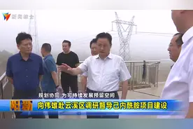 向伟雄赴云溪区调研督导己内酰胺项目建设视频封面