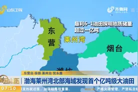 重大好消息！渤海发现亿吨级大油田，可供上百万辆汽车用几十年视频封面