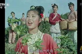 刘三姐唱的这段 “采茶姐妹上茶山”，太好听了，经典！！视频封面