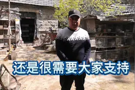 快递公司新规定，寄活物要符合这几条才给你寄视频封面