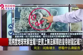 高纯度地球未解金属!!史书上无法解释的皇帝射龙记载视频封面