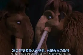 爱剪辑-谈女朋友的秘籍，这样的雷区一定要绕着走