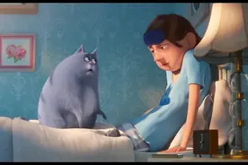 猫咪叫醒服务视频封面