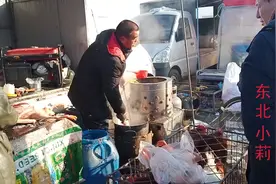 东北“必备年货”每家最少买一只，今年价格比较低，小莉多备点视频封面