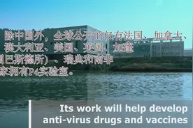 全球仅8个国家有能力做到：武汉病毒研究所P4级别国家生物实验室视频封面