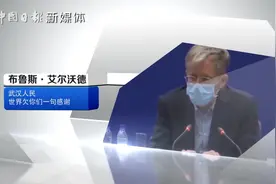 世卫专家谈中国战“疫”经验 ：速度与民众配合是关键