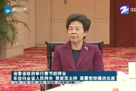 浙江省委省政府举行春节团拜会，车俊向全省人民拜年视频封面