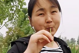 小麦嚼泡泡糖，芦苇叶做口哨，满满的童年记忆，你们经历过吗