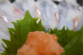 日本蜥蜴鱼生鱼片，多种做法，总有一种能勾起你的食欲视频封面