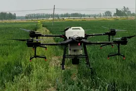 第一次见大疆无人机打农药，全套装备7万多，1亩地2分钟就打完！视频封面