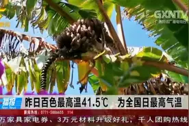 广西高温仍将持续，5月9日，将有冷空气进入广西，迎来降温降雨