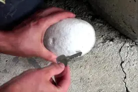 用随手可得材料制作生活创意小物品视频封面