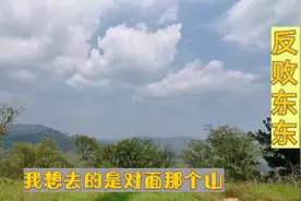 鄂豫两省交界的地方同属于大别山山脉，河南信阳和湖北的广水视频封面