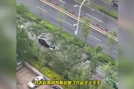 北京小伙用特斯拉编程“薅羊毛”：每25分钟挪一下免交停车费图片