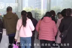 务工人员享受工作待遇，都是依法享有，具体都有哪些？视频封面