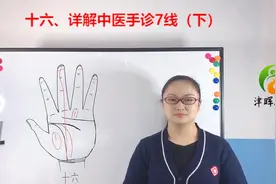 十六、详解中医手诊7线（下） 中医手诊基础交流视频封面