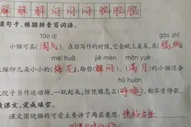 四下《猫》习题讲解，课文围绕猫的可爱，主要写了哪两方面的内容视频封面