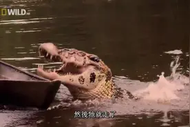 纪录片：亚马逊巨鳄【上】视频封面