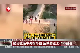 假的假的！武汉居民“隔窗举报”揭示了什么？中央指导组回应了