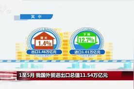 海关总署公布1至5月我国外贸进出口总值，民营企业比重提升视频封面