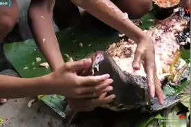 荒野生活录荒野生存小屁孩水里捡大鱼直接烤着吃视频封面