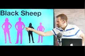 Black Sheep表示黑色的羊？白学英语了，Mark老师教你地道的理解视频封面