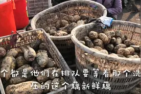 实拍藕粉加工全过程，你知道吗莲藕摇身一变是拯救胃病胃炎的良药视频封面