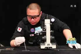 新闻大求真：你家也有这种白色小虫吗？过敏的朋友一定要小心它！