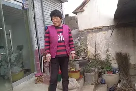 老妈把果园里的树叶收集起来好冬天喂羊，这下又节省了一大笔成本视频封面