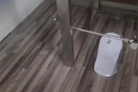 宾馆酒店房间没蚊虫的秘密你知道吗？原来是这样视频封面