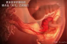 3D动画婴儿的诞生全过程