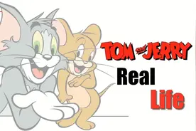 《猫和老鼠》中各个动物的原型，制片公司向外界公布